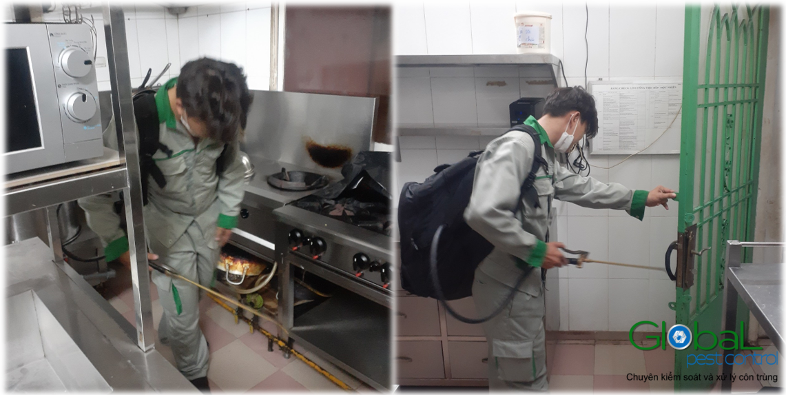 Dịch vụ diệt côn trùng 2