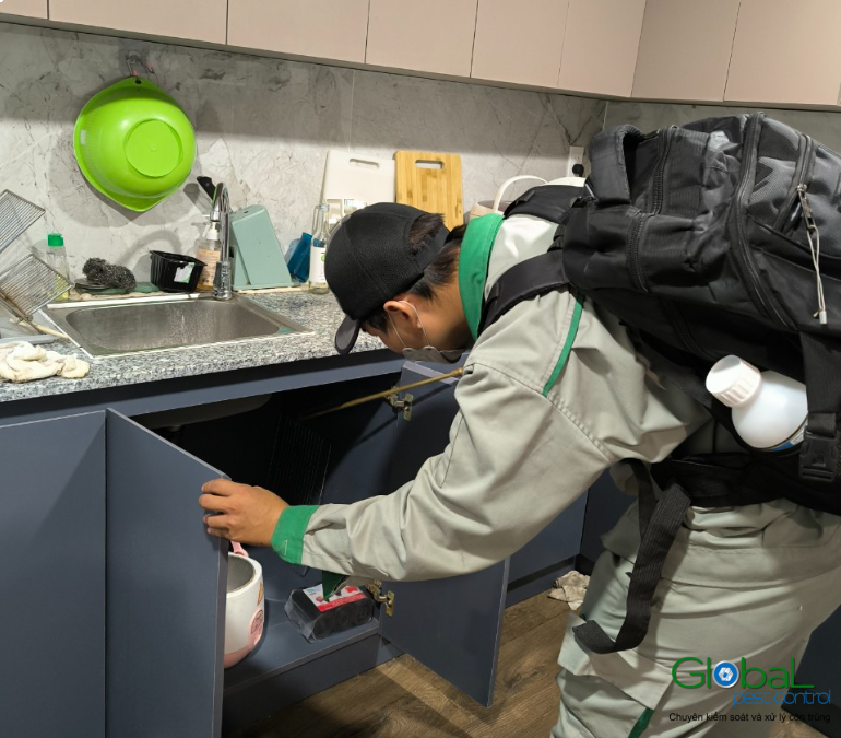 screenshot 1703928866