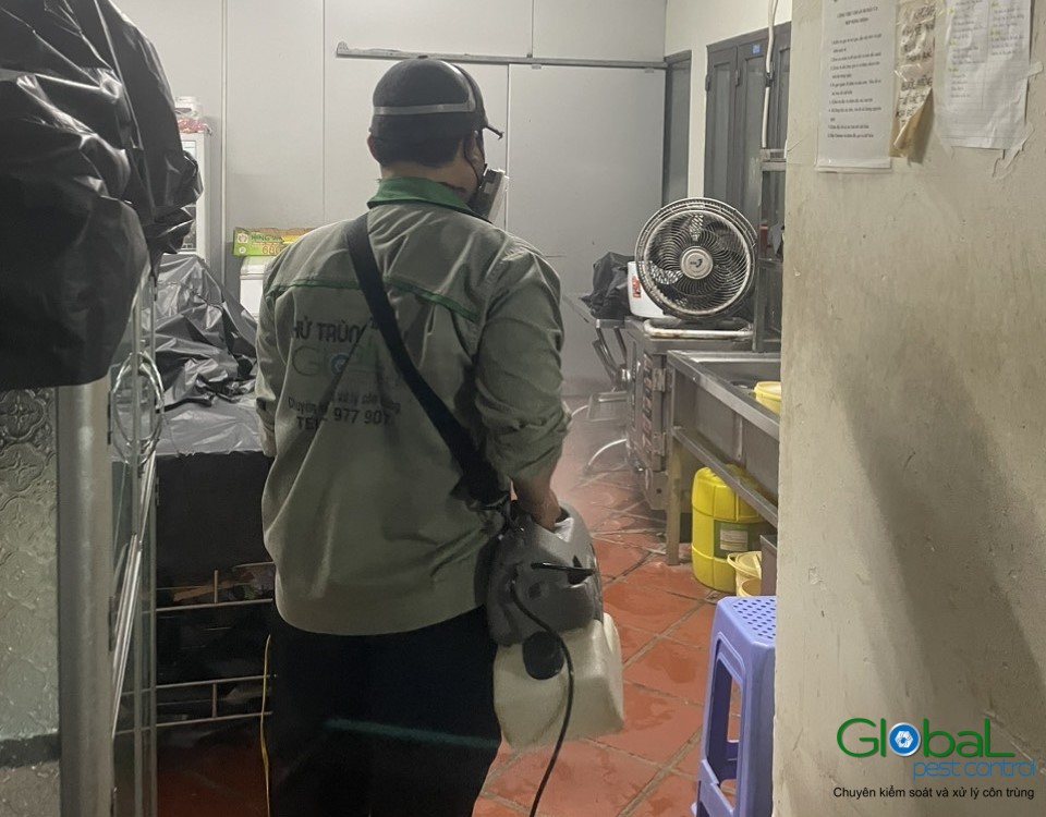 Dịch vụ diệt côn trùng Khử Trùng Toàn Cầu (3)